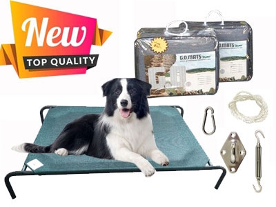 New Products