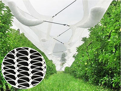 Protection & Harvest Net