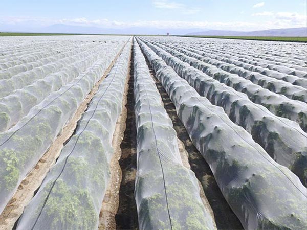 2024 Factory Best Selling Custom Size White HDPE insect proof net