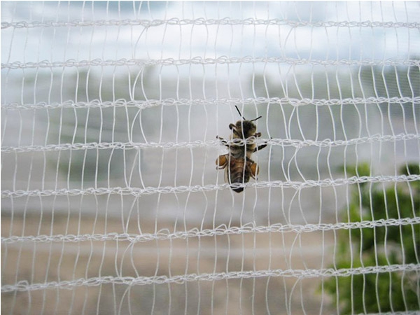 Wholesale 23-50g High Quality Knitting anti insect net for fruit trees