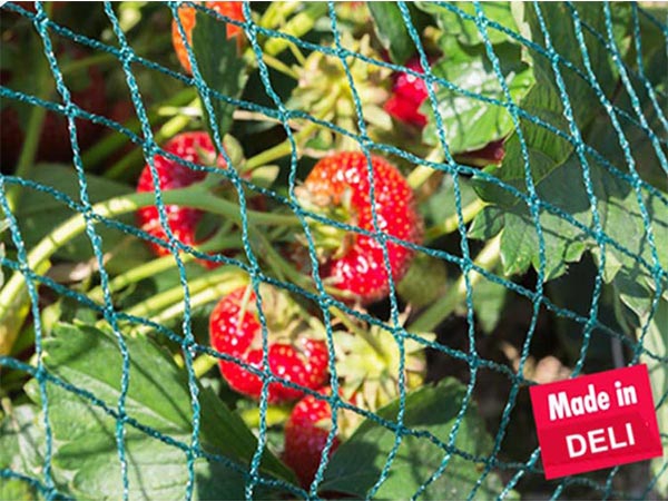 Custom/wholesale High Strength Knitting Anti-bird Mesh Orchard Protection Net