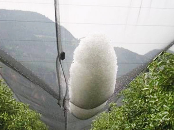 2024 Custom SIZE High strength HDPE Anti Hail Net for fruit trees