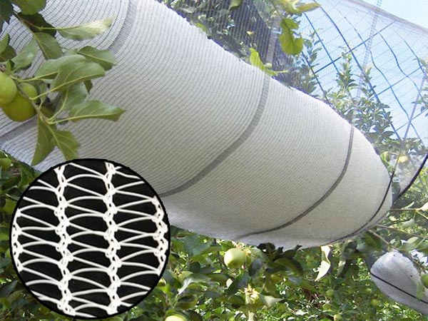 2024 Custom SIZE High strength HDPE Anti Hail Net for fruit trees