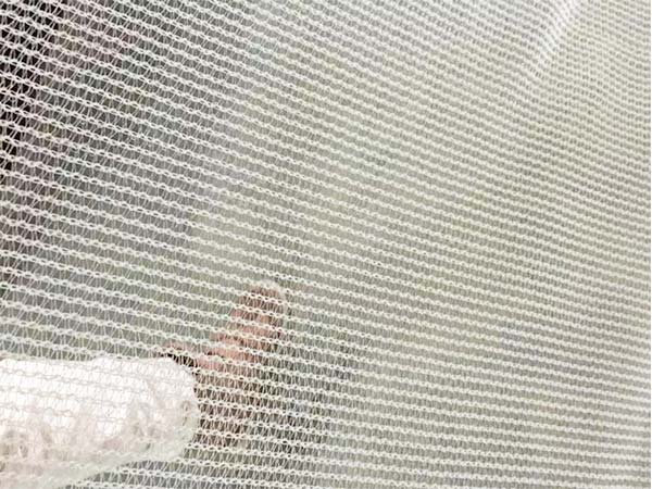 2024 Custom SIZE High strength HDPE Anti Hail Net for fruit trees