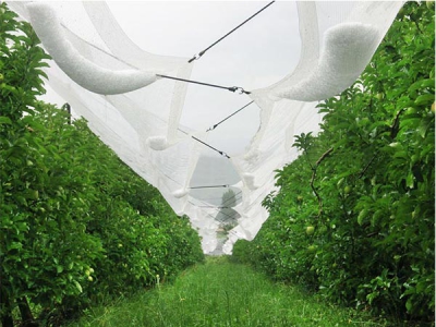2024 New Design Custom Size agricultural anti hail net for orchard