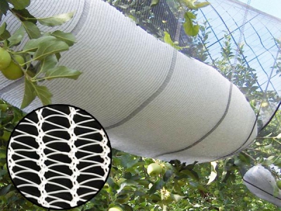 2024 Custom SIZE High strength HDPE Anti Hail Net for fruit trees