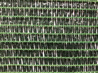 2023 Hot Selling 70gsm Green sunshade net