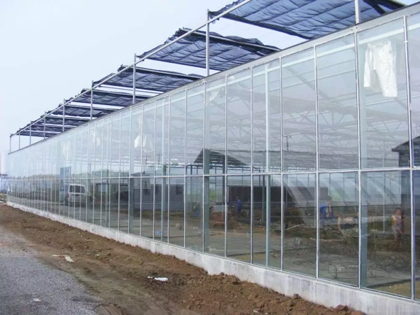 2024 China Best Selling 70-90gsm black sunshade net