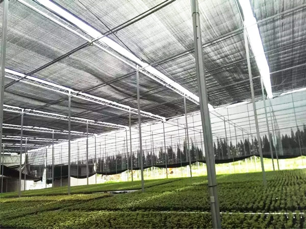 2024 China Best Selling 70-90gsm black sunshade net