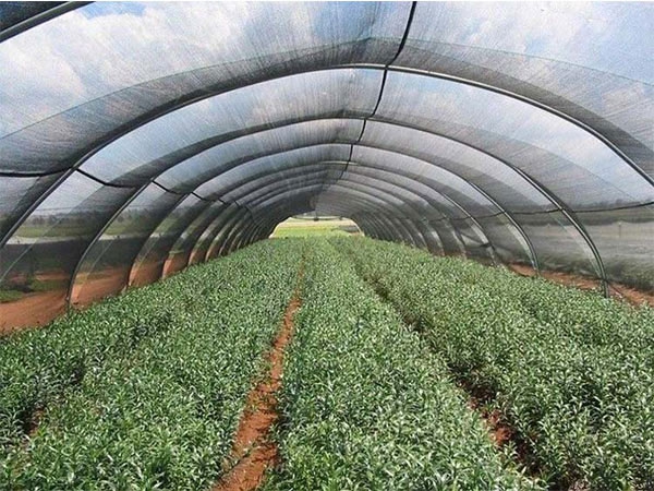  100% HDPE Knitting Outdoor 50-75gsm Black shade net for Agriculture