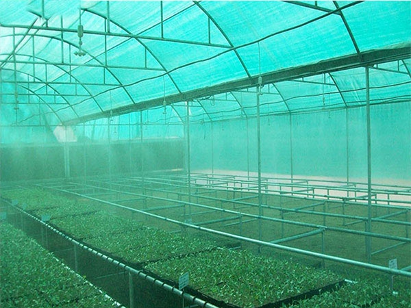 Wholesale High Quality 75-90gsm Green HDPE sunshade net roll