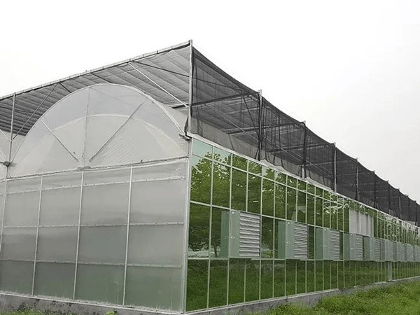 Best Quality Custom Shading rate 50% 70% 80% 90% 40-50gsm black sun shade net