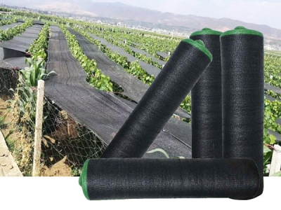 Wholesale Cheap 75-90gsm Black HDPE shade net for plant protection